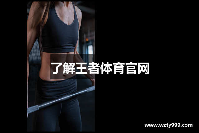 了解王者体育官网